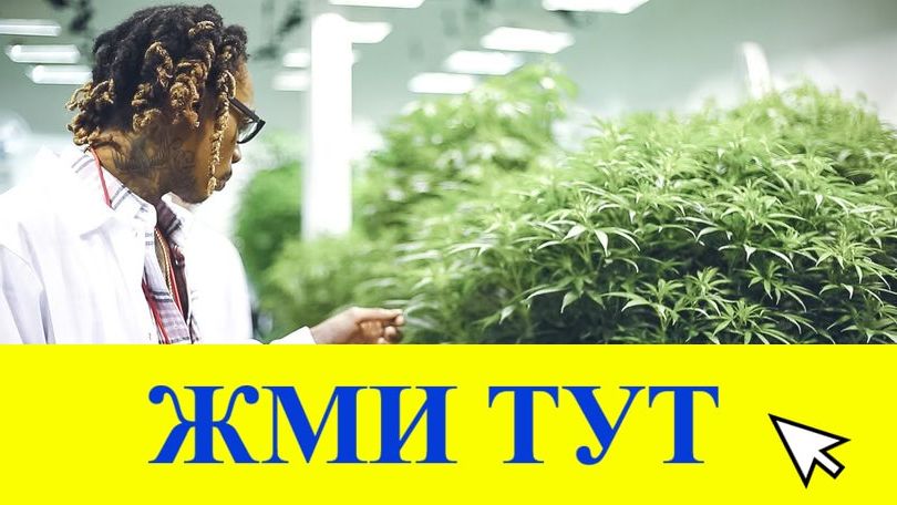 Купить наркотики в Краснотурьинске